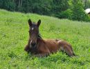 image024